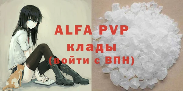 стафф Козельск