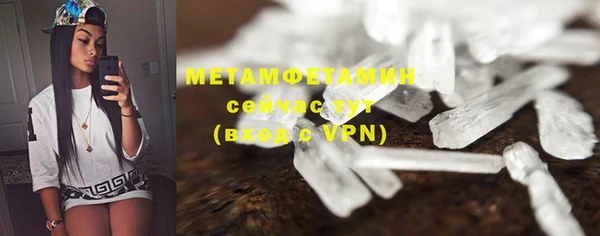 прущие грибы Костерёво