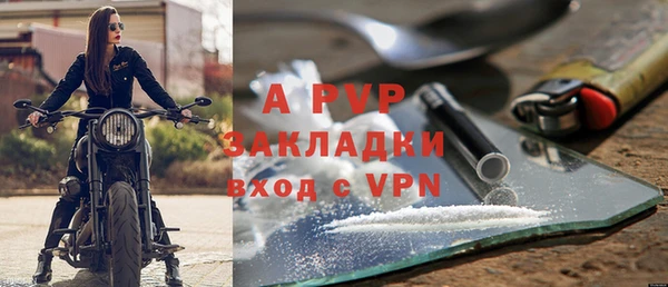 прущие грибы Костерёво