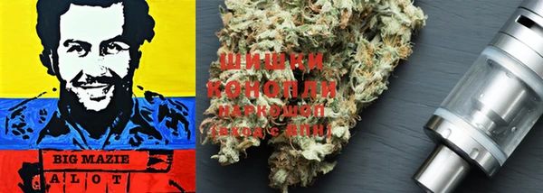 стафф Козельск